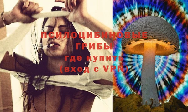 гашик Наволоки