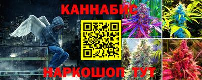 стаф Пушкино