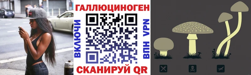 Псилоцибиновые грибы мухоморы  Усть-Кут 